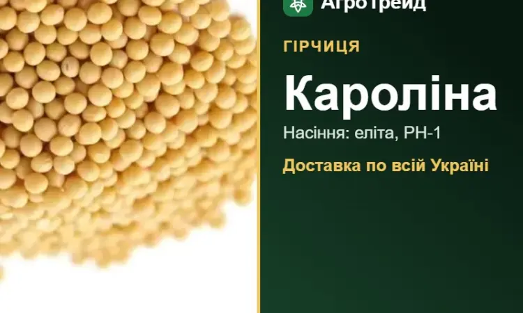 Гірчиця Кароліна — насіння - фото № 1