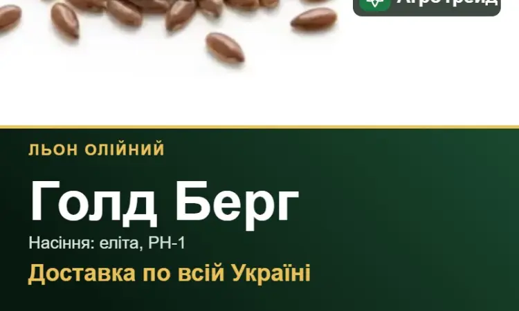 Купити насіння олійного льону Голд Берг - фото № 1
