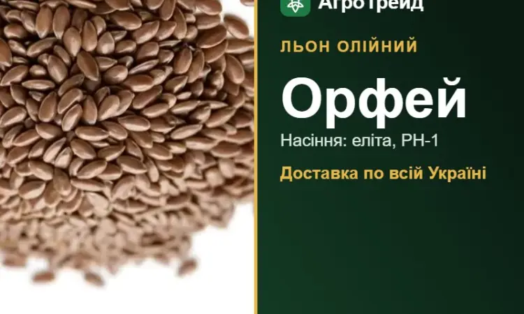 Орфей — льон олійний, насіння - фото № 1