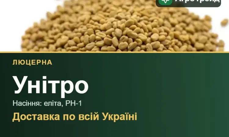 Люцерна Унітро - фото № 1
