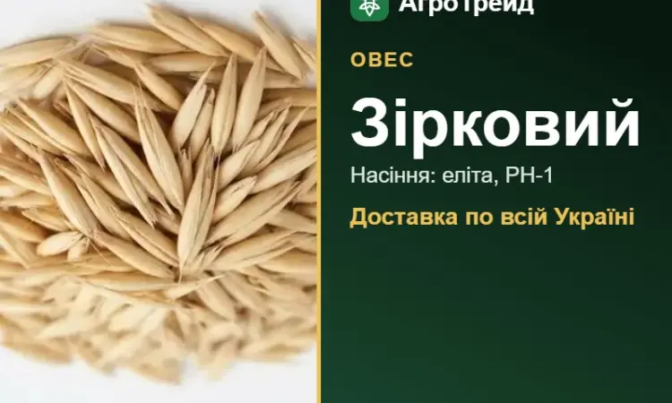 Насіння вівса Зірковий - фото № 1