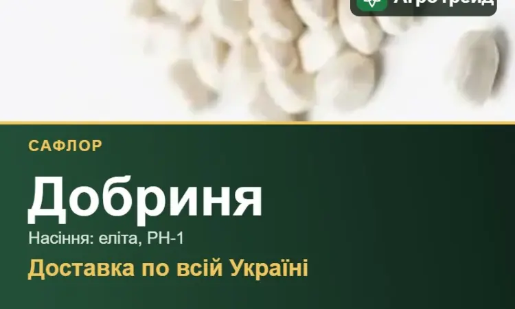 Купити насіння сафлору Добриня - фото № 1