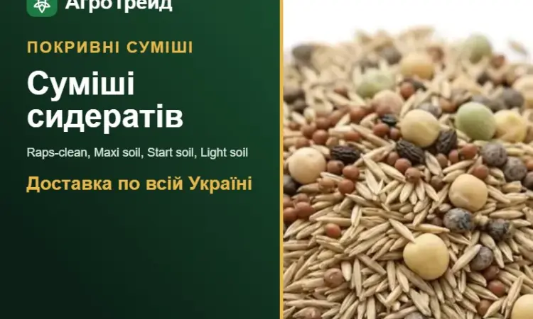Покривні суміші сидератів — насіння - фото № 1