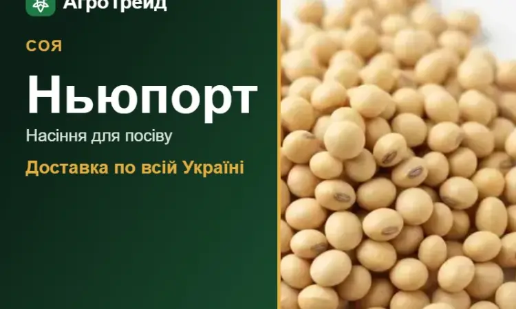 Насіння сої Ньюпорт - фото № 1