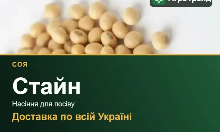 Продам насіння сої Стайн - фото № 1