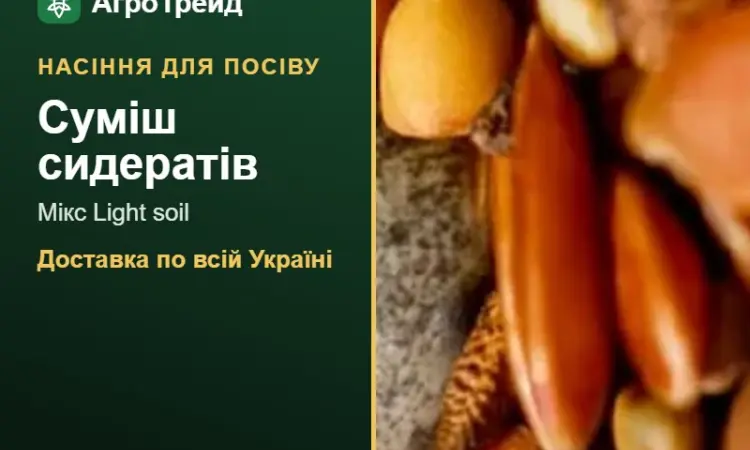 Суміш сидератів Мікс Light soil — насіння - фото № 1