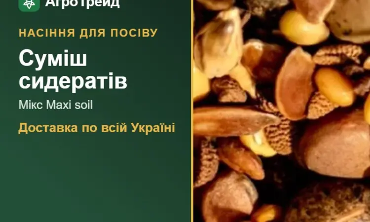 Продам: суміш сидератів Мікс Maxi soil - фото № 1