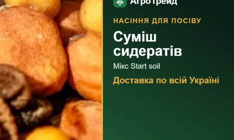 Суміш сидератів Мікс Start soil — насіння - фото № 1