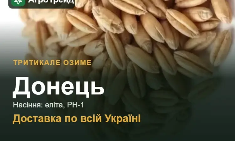 Тритикале озиме Донець — насіння - фото № 1