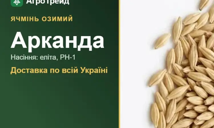 Насіння озимого ячменю Арканда - фото № 1