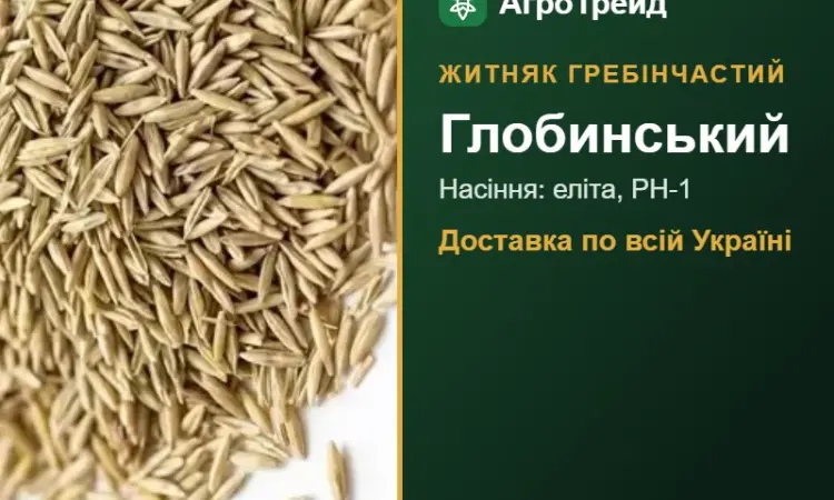 Глобинський — житняк гребінчастий, насіння - фото № 1