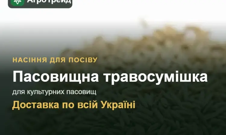 Пасовищна травосумішка для культурних пасовищ - фото № 1