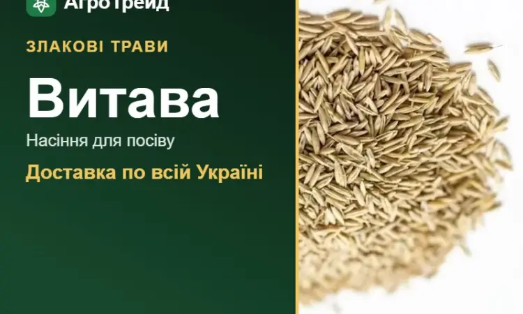 Купити насіння злакових трав Витава - фото № 1