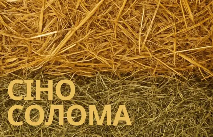 СОЛОМА, СІНО + Доставка - фото № 1