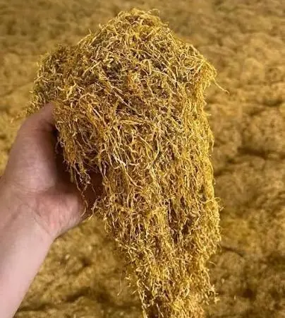 Продам  ароматне Золоте руно, оптом і в роздріб - фото № 1