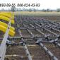 Борона зубовая шлейфовая БШН-11 - фото № 2
