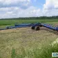 Лущильники дисковые ЛДГ -15, ЛДГ-10, ЛДГ-5 и запчасти - фото № 2