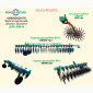 Борона ротаційна БР-6 - фото № 5