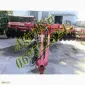 WIL-RICH 957 Дисковый глубокорыхлитель - фото № 1