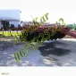 WIL-RICH 957 Дисковый глубокорыхлитель - фото № 2