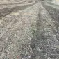 Секция катка измельчителя роликового водоналивного КЗК 6 04 - фото № 2