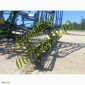 Продам культиватор John Deere 960 10 метров + винтовые катки - фото № 6