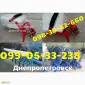 КРНВ)-туковая система культиватора КРН/КРНВ (комплектная) - фото № 1