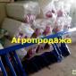 Устройство КРН(В) комплектное для культиватора крн 5, 6 - фото № 4