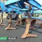 Культиватор Lemken Smaragd 90-300UE - фото № 7