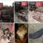 Культиватор фрезерный КФ 5.4 новый и БУ - фото № 5