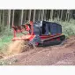 Самохідний мульчер Prinoth RAPTOR 300 - фото № 2