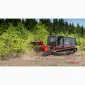 Самохідний мульчер Prinoth RAPTOR 300 - фото № 6