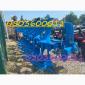 Продам плуг Lemken VariOpal 7 (5 корпусов) по супер цене - фото № 1