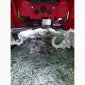Посівний комплекс HORSCH Maestro 16.70 Sx у продажу - фото № 11
