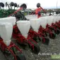 Продам сеялку СУПН 8 Доставка - фото № 3