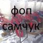 Продам сеялки СУПН (СУПН-6 - фото № 2