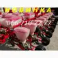 Новинка УПС сеялки с межсекционным размещением колес УПС 8-03 сеялка рекомендуем - фото № 1