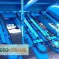 Жатка для уборки кукурузы КМС-6 - фото № 7