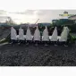 Новая жатка кукурузная elibol mhs 8 - фото № 5