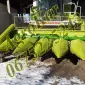 Кукурузная жатка Glaas Conspeed 6-70 с измельчителем - фото № 7