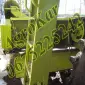 Кукурузная жатка Glaas Conspeed 6-70 с измельчителем - фото № 8