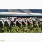 Продам флекси жатку John Deere 920F (6, 1 м.) 925F 930F б/у из США - фото № 2