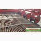 Картофелекопалка GRIMME RL 3600 - фото № 4