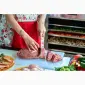 Сушилка инфракрасная "Фрукториана" для сушки яблочных чипсов - фото № 4