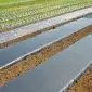 Плівка для мульчування без перфорації в асортименті Vatan Plastik - фото № 1