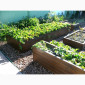 Декоративный огород, высокие грядки от производителя Organic Box купить Киев, Украина - фото № 6