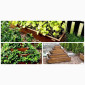 Современные высокие грядки, декоративный огород фото, от производителя. Киев Украина - фото № 5