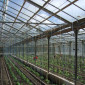 Продам теплицы Антрацит 399 гривен метр - фото № 3