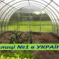 Теплиці для власників заміських будинків від виробника - фото № 3