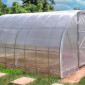 Теплицы с пленкой - фото № 1